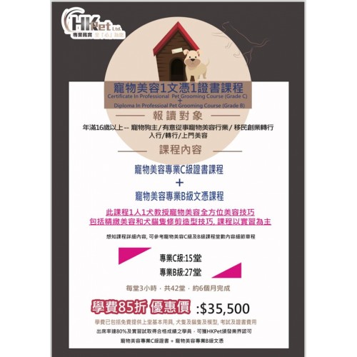 寵物美容1文憑1證書課程